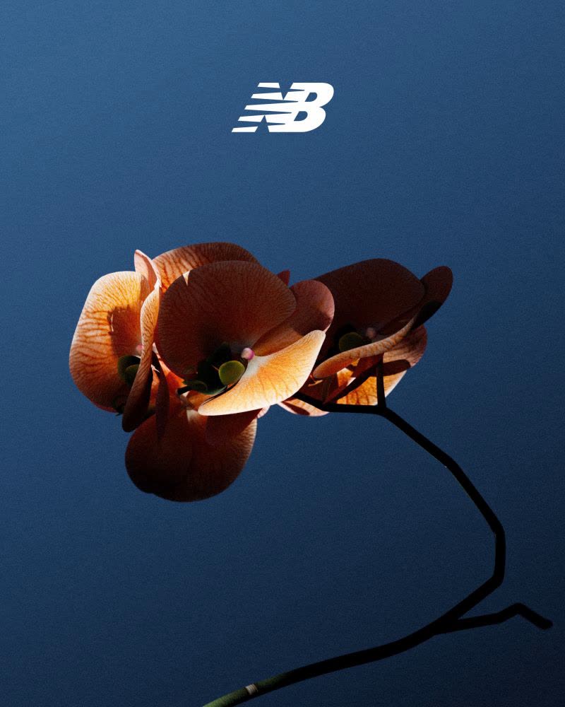 New Balance - 2002R - image 4
