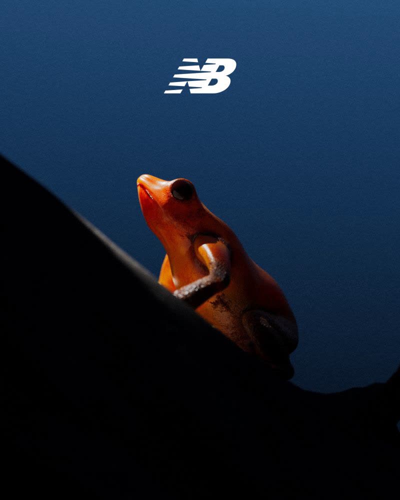 New Balance - 2002R - image 5
